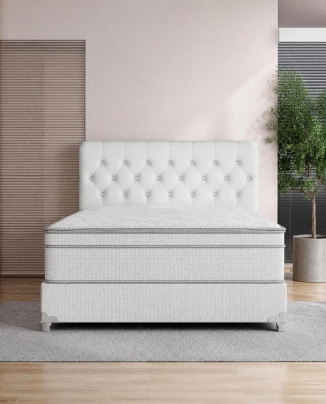Conjunto Box Ecstasy